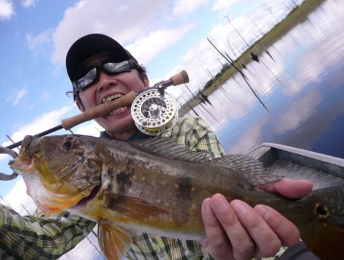 アマゾン遠征　ピーコックバスロッド3本セット　　マグナムクラフト アマゾン川遠征 ピーコックバスロッド3本セット マグナム