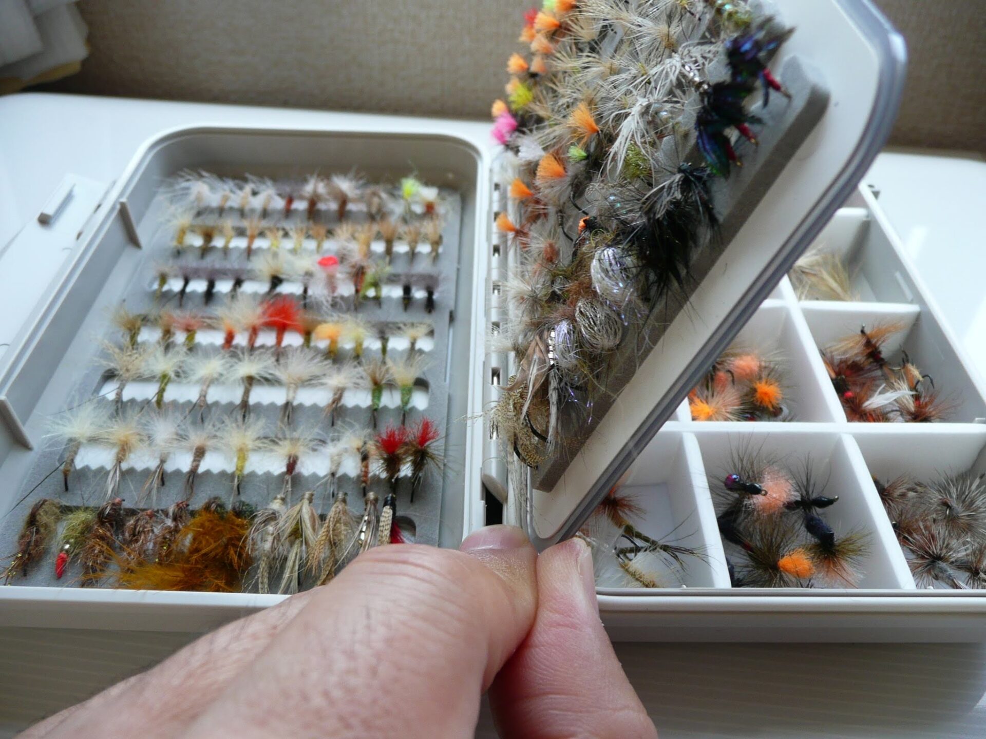 Flleen Box 煩悩が詰まった FLY BOX's